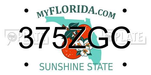 375ZGC Florida License Plate