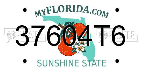 37604T6 Florida License Plate