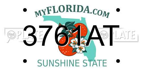 3761AT Florida License Plate