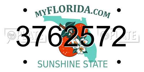 3762572 Florida License Plate