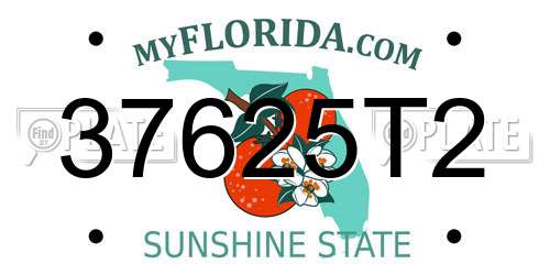 37625T2 Florida License Plate