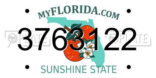 3763122 Florida License Plate