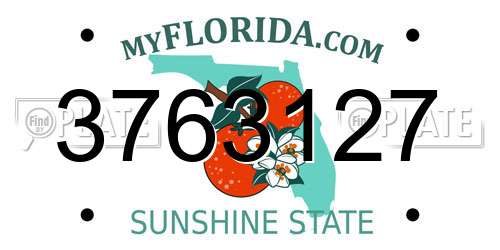 3763127 Florida License Plate