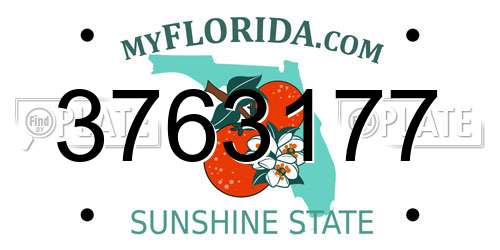 3763177 Florida License Plate