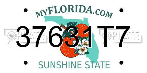 37631T7 Florida License Plate