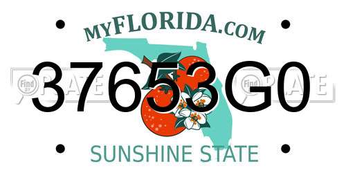 37653G0 Florida License Plate