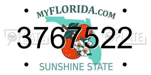 3767522 Florida License Plate