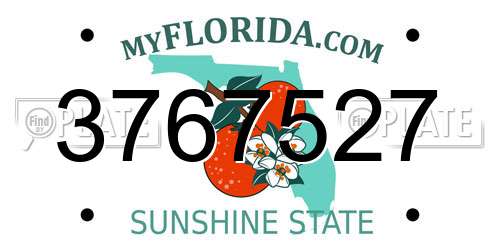 3767527 Florida License Plate