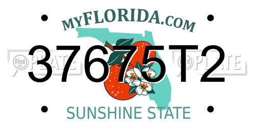 37675T2 Florida License Plate