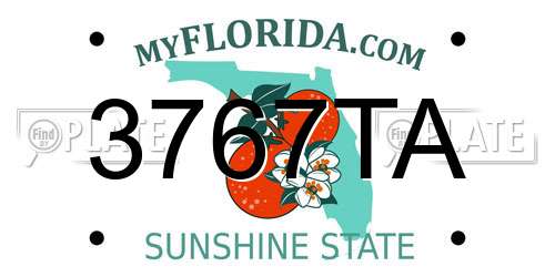 3767TA Florida License Plate