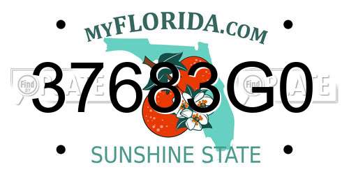 37683G0 Florida License Plate