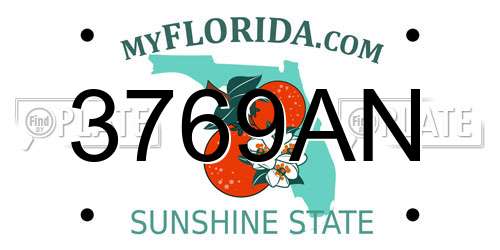 3769AN Florida License Plate