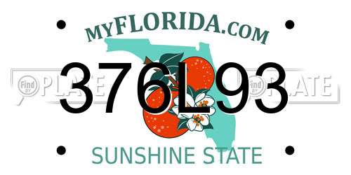 376L93 Florida License Plate