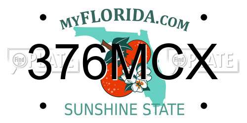 376MCX Florida License Plate