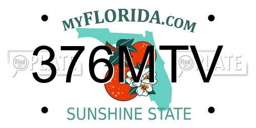 376MTV Florida License Plate