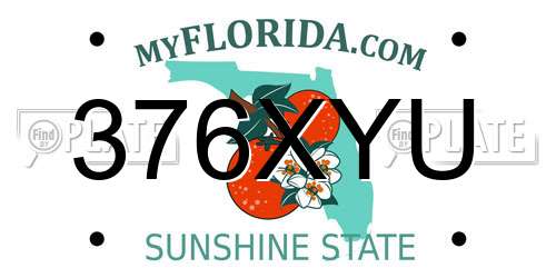 376XYU Florida License Plate