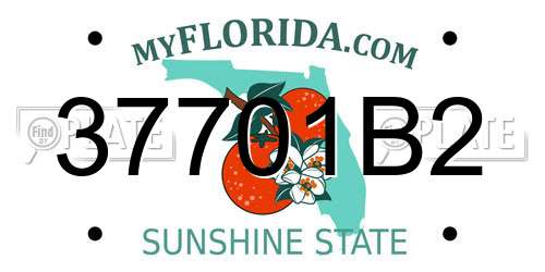 37701B2 Florida License Plate