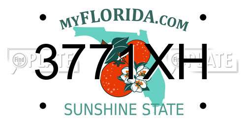 3771XH Florida License Plate