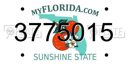 3775015 Florida License Plate