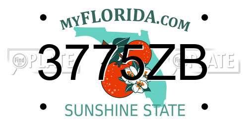 3775ZB Florida License Plate