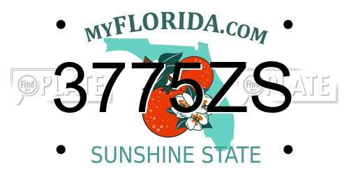 3775ZS Florida License Plate