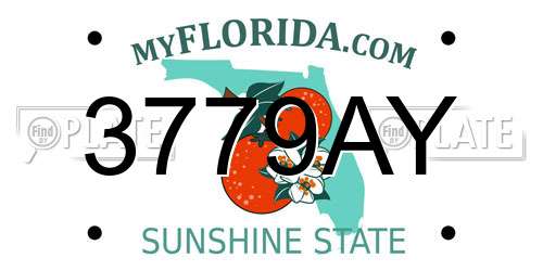 3779AY Florida License Plate