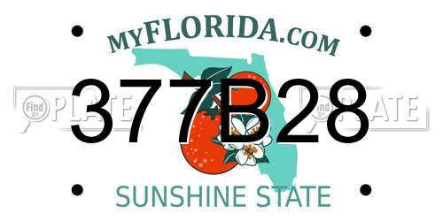 377B28 Florida License Plate
