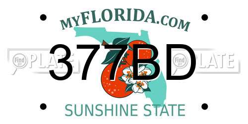 377BD Florida License Plate