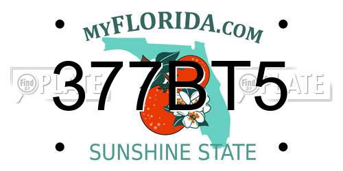 377BT5 Florida License Plate