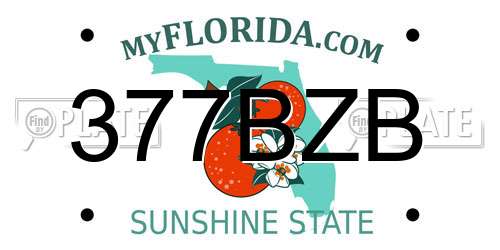377BZB Florida License Plate