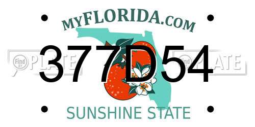377D54 Florida License Plate