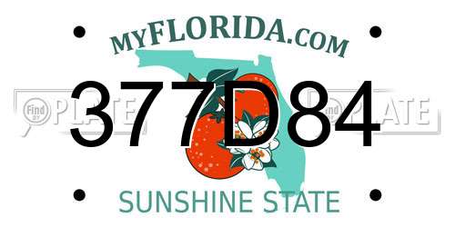 377D84 Florida License Plate