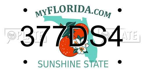 377DS4 Florida License Plate