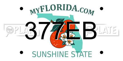 377EB Florida License Plate