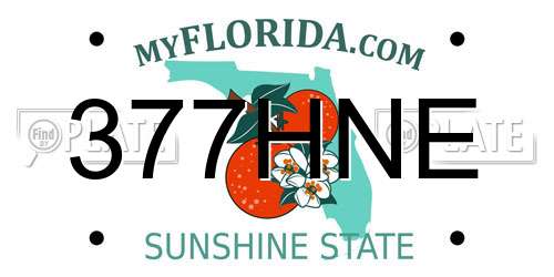 377HNE Florida License Plate
