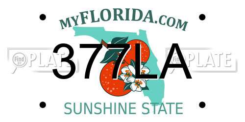377LA Florida License Plate