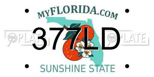 377LD Florida License Plate
