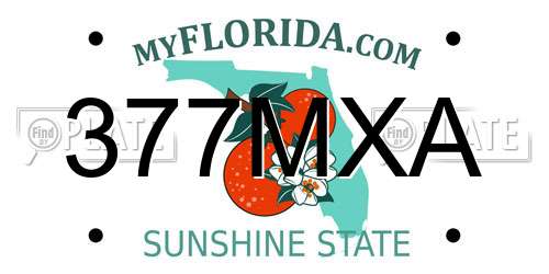377MXA Florida License Plate