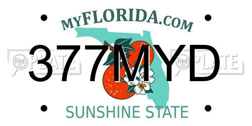 377MYD Florida License Plate