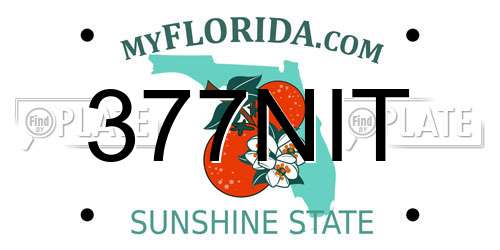 377NIT Florida License Plate