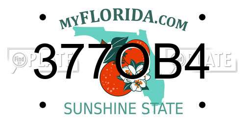 377OB4 Florida License Plate