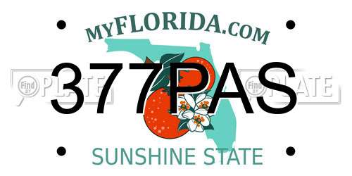 377PAS Florida License Plate