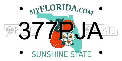 377PJA Florida License Plate