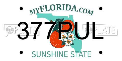 377PUL Florida License Plate