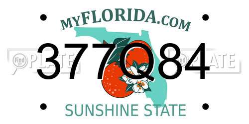 377Q84 Florida License Plate