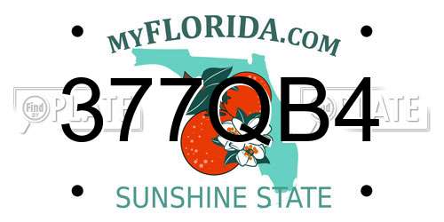 377QB4 Florida License Plate