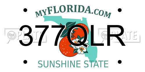 377QLR Florida License Plate