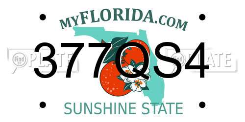 377QS4 Florida License Plate