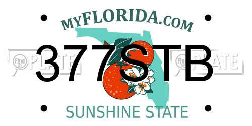 377STB Florida License Plate
