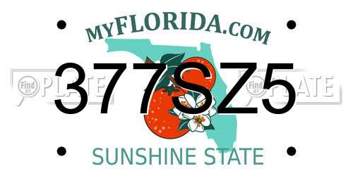 377SZ5 Florida License Plate